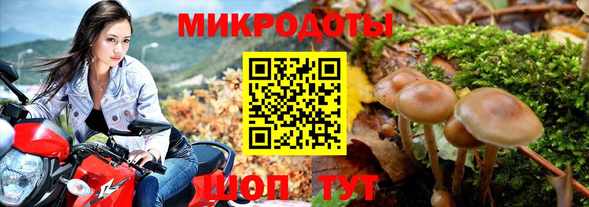 Галлюциногенные грибы мухоморы Мурманск